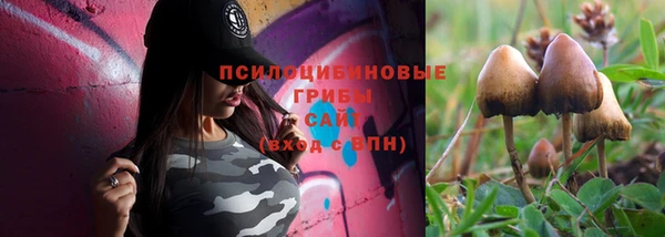 бошки Армянск