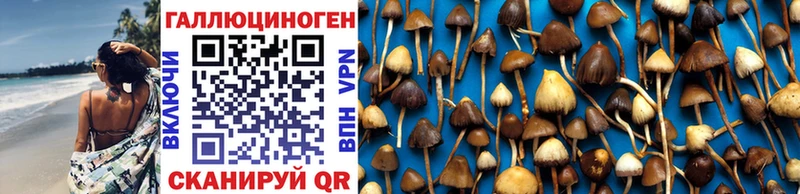 Галлюциногенные грибы Cubensis  сколько стоит  гидра маркетплейс  сайты даркнета состав  Крым 